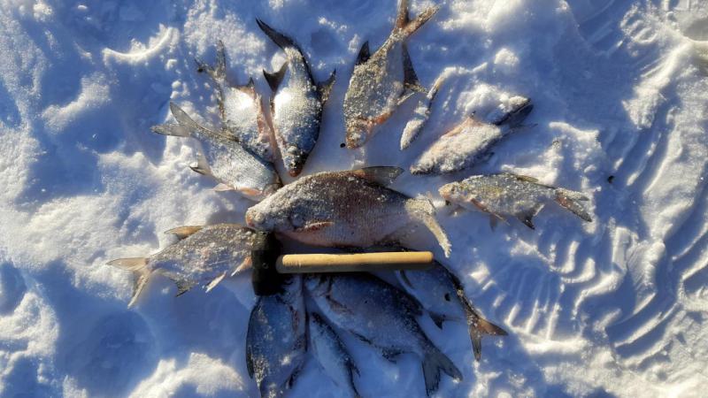 Прикрепленное изображение