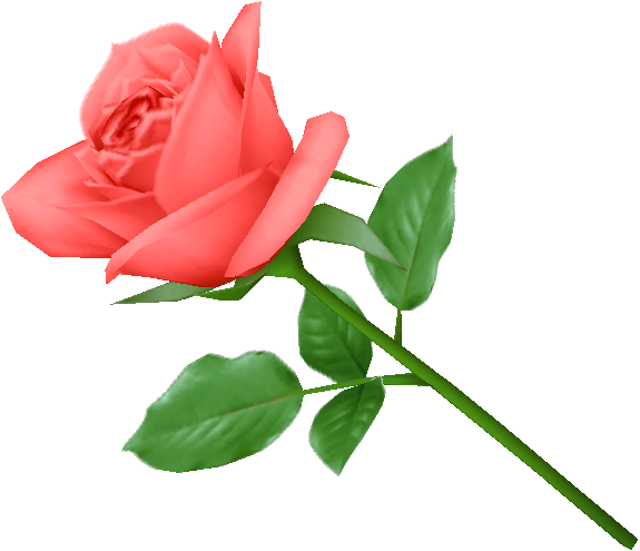 rose-png-3.png