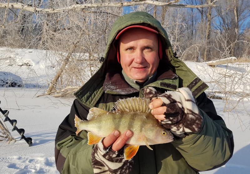 Прикрепленное изображение