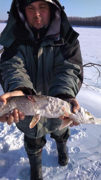 Прикрепленное изображение