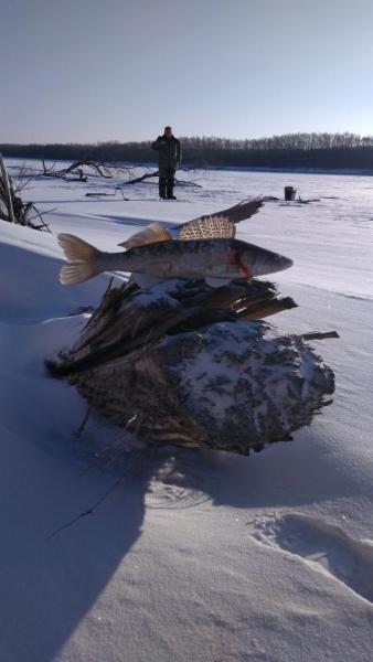 Прикрепленное изображение