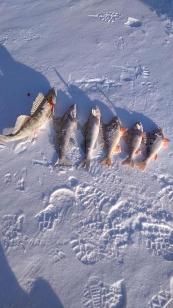 Прикрепленное изображение