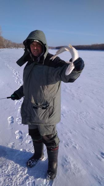 Прикрепленное изображение