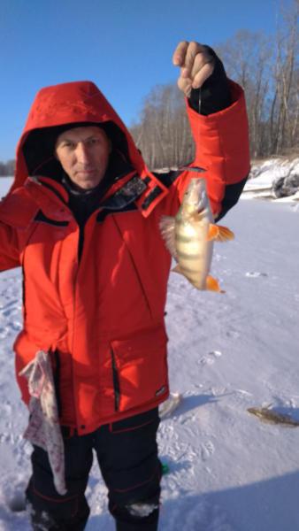 Прикрепленное изображение