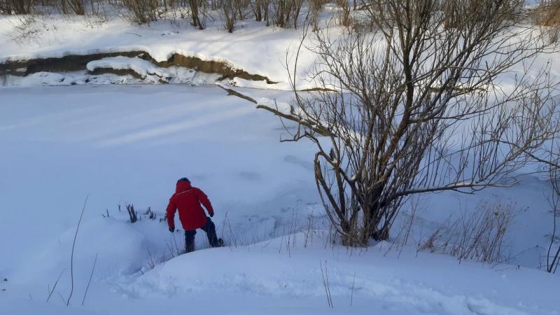 Прикрепленное изображение