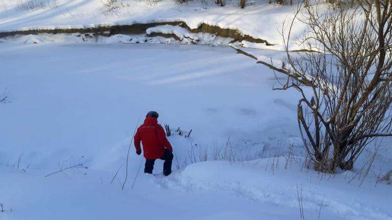 Прикрепленное изображение