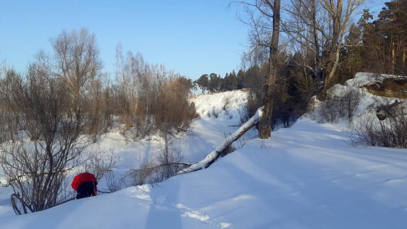 Прикрепленное изображение