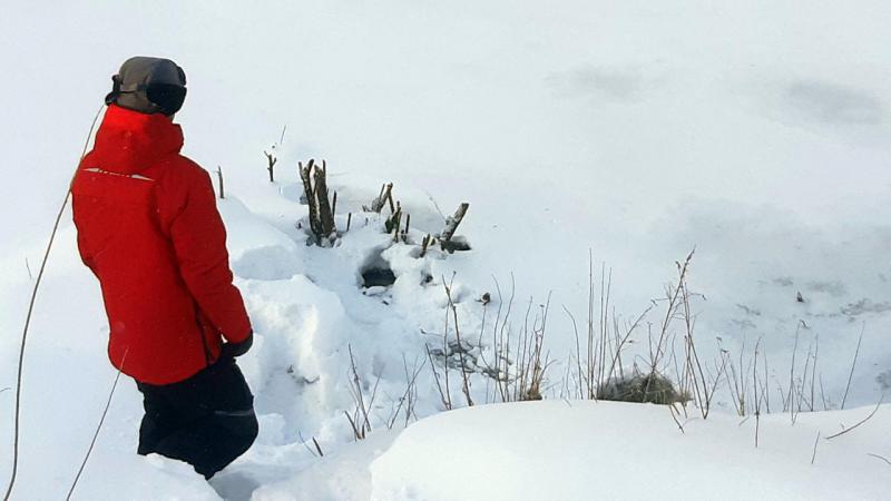 Прикрепленное изображение