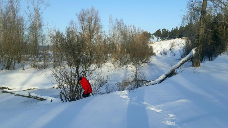 Прикрепленное изображение