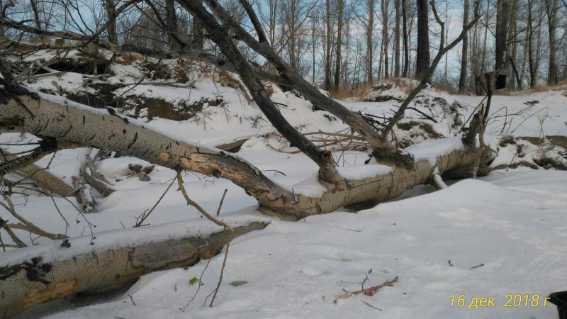 Прикрепленное изображение: P_20181216_145949_p.jpg
