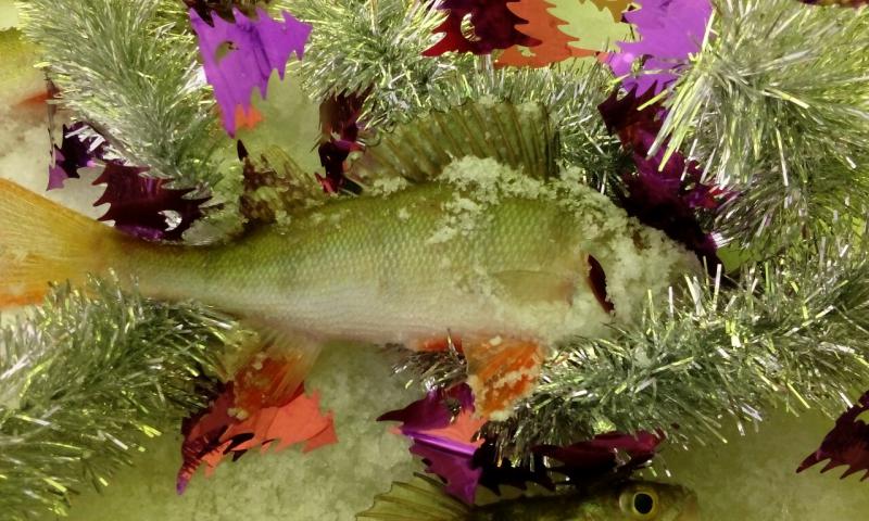 Прикрепленное изображение: ewLWdt8C33s.jpg