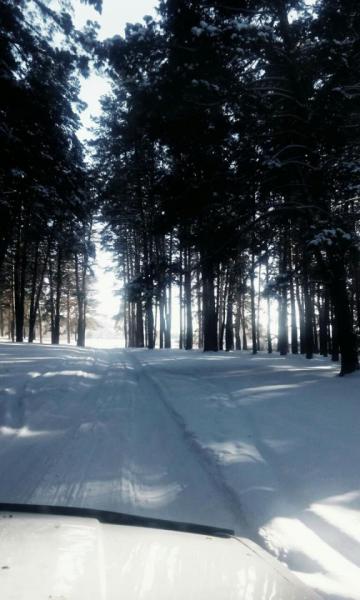 Прикрепленное изображение: rTbYQvMj7bE.jpg