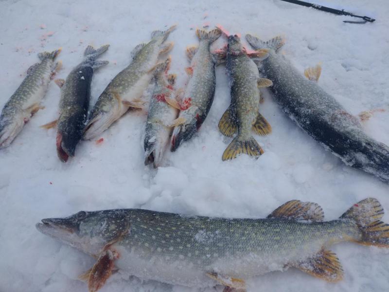 Прикрепленное изображение: P81124-104923.jpg