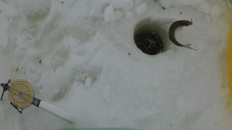 Прикрепленное изображение: 4.jpg