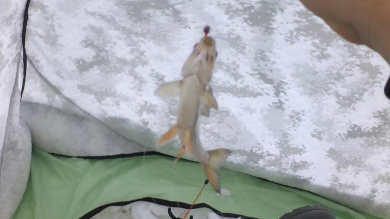 Прикрепленное изображение: 1.jpg