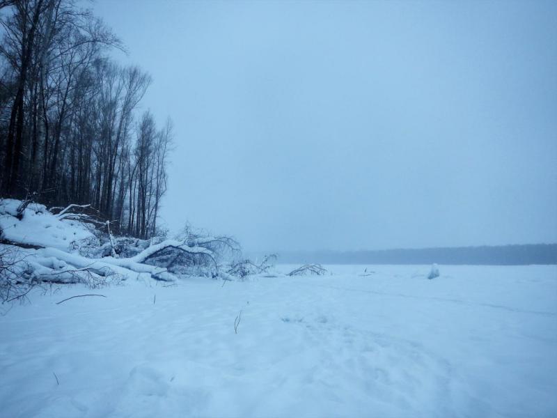 DSCN4780.JPG