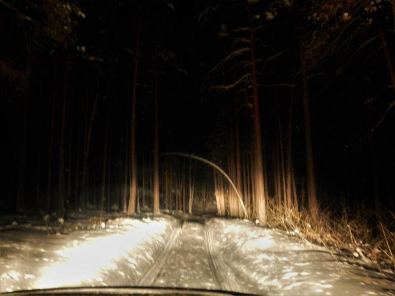 DSCN4767.JPG