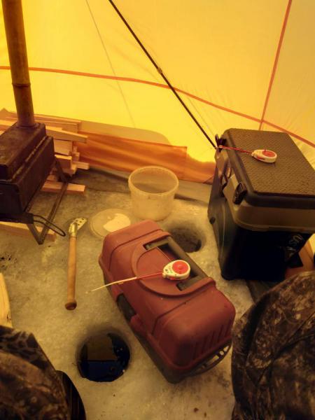 WhatsApp Image 2018-12-10 at 09.15.33.jpeg