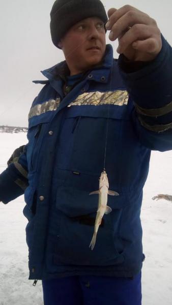 Прикрепленное изображение