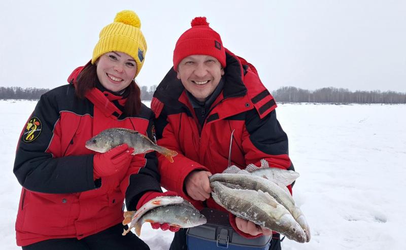 Прикрепленное изображение