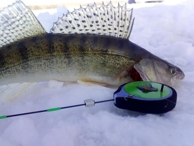 Прикрепленное изображение