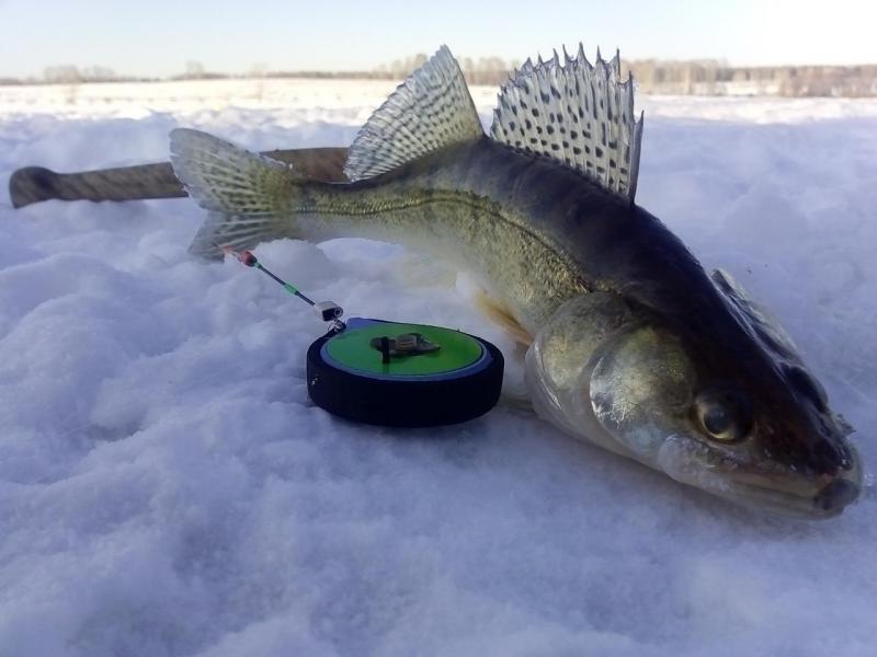 Прикрепленное изображение