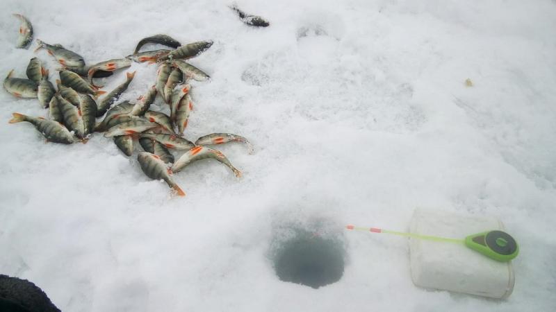 Прикрепленное изображение