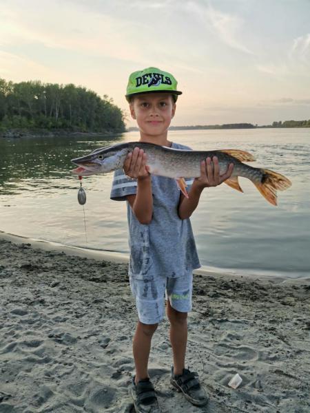 Прикрепленное изображение: 1.jpg