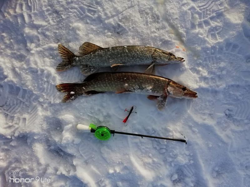 IMG-20191205-WA0026.jpg