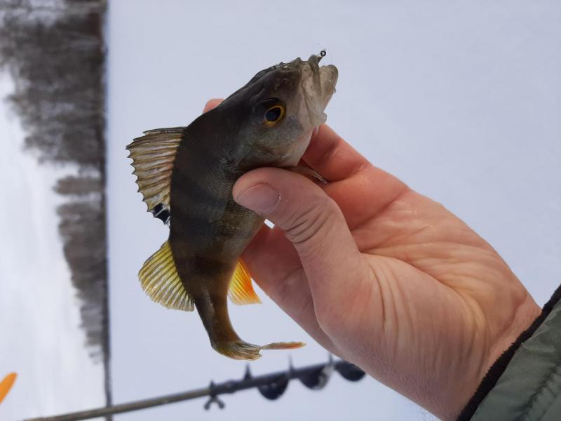 20191130_105727.jpg