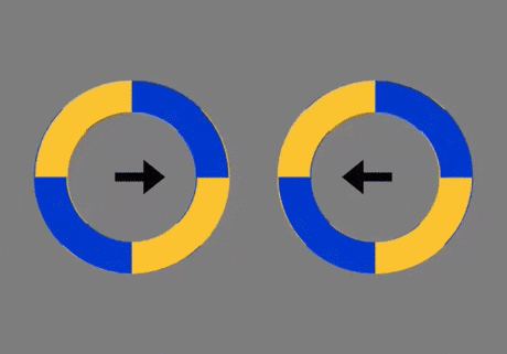 rotating-circles-illusion.gif