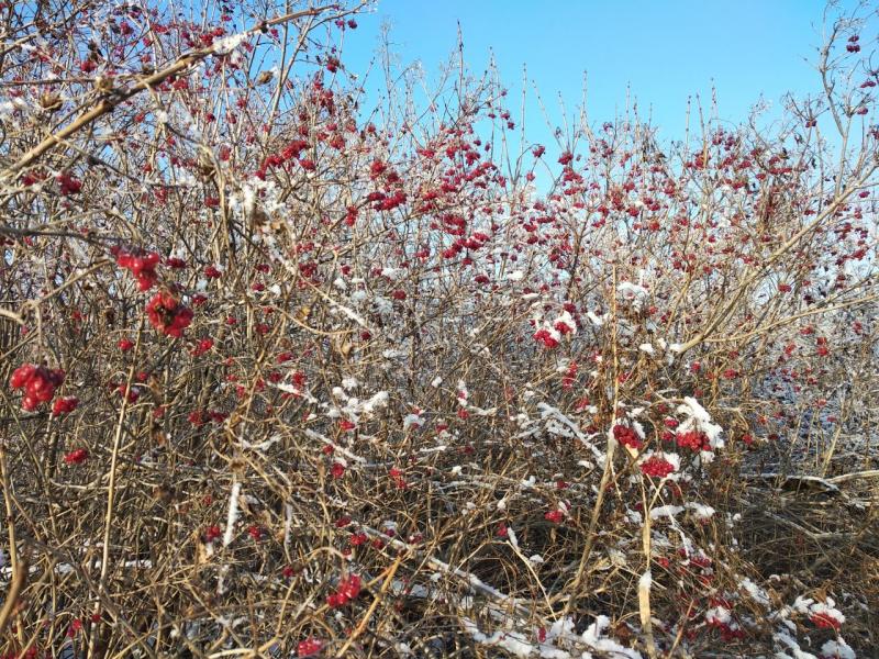 Прикрепленное изображение: IMG_20201206_121212.jpg