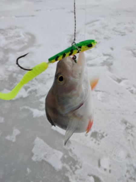 Прикрепленное изображение: IMG_20201126_101059.jpg