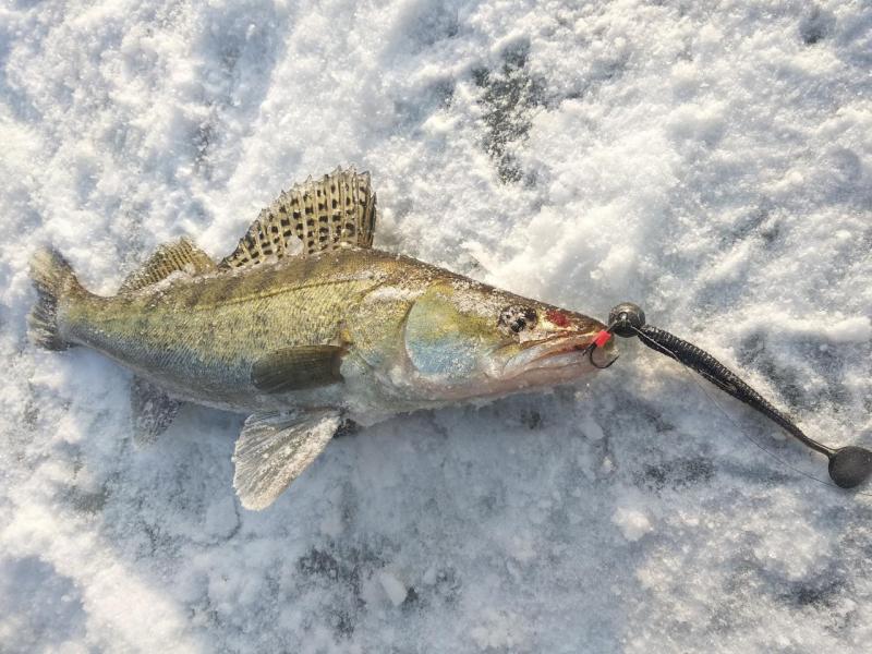 Прикрепленное изображение: IMG_20201207_122504.jpg