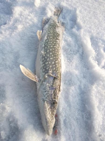 Прикрепленное изображение: IMG_20201207_114953.jpg