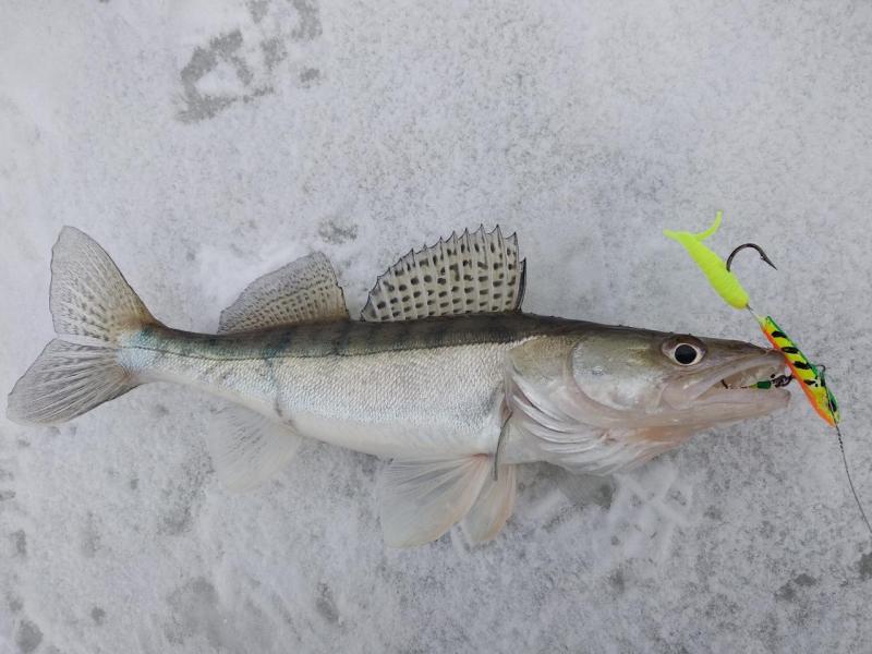 Прикрепленное изображение: IMG_20201126_101644.jpg