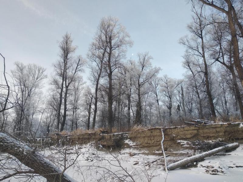 Прикрепленное изображение: IMG_20201206_102400.jpg