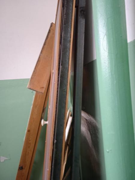 IMG_20201230_142537.jpg