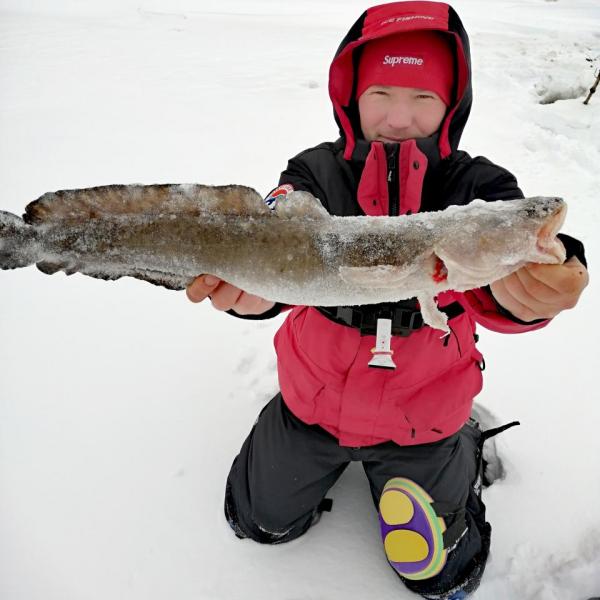 IMG_20201230_170859.jpg