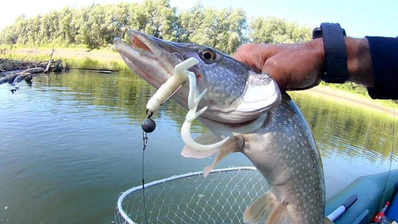 FHD0045_Moment (2).jpg