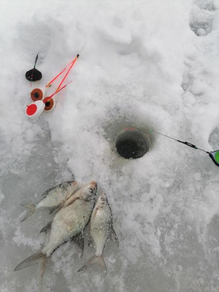 Прикрепленное изображение