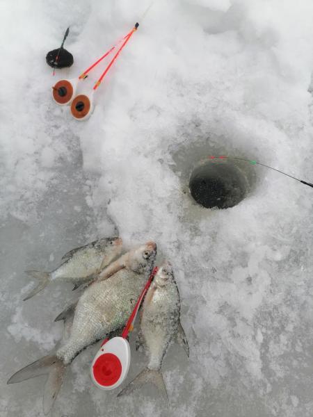 Прикрепленное изображение