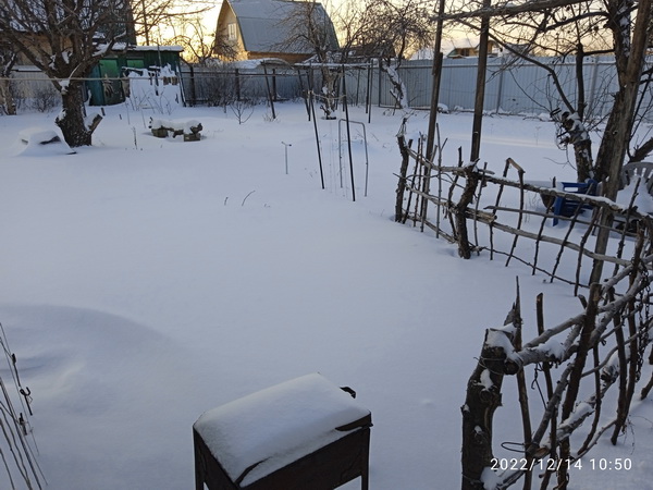 IMG_20221214_105056_1.jpg
