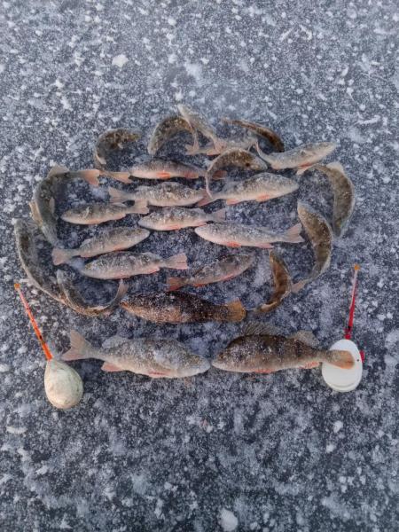 Прикрепленное изображение