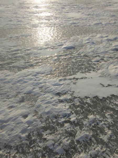 IMG_20231207_140636.jpg