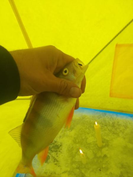 IMG_20231207_150357.jpg