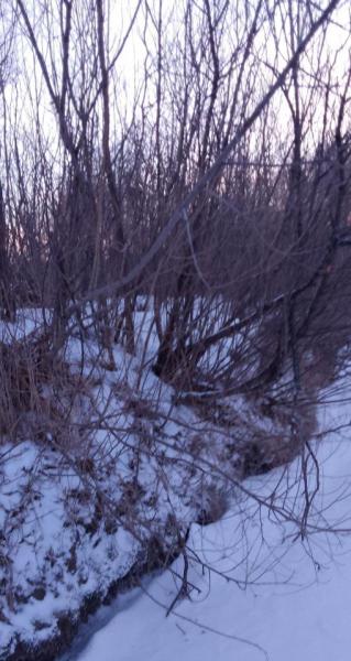 IMG_20231219_092954~3.jpg