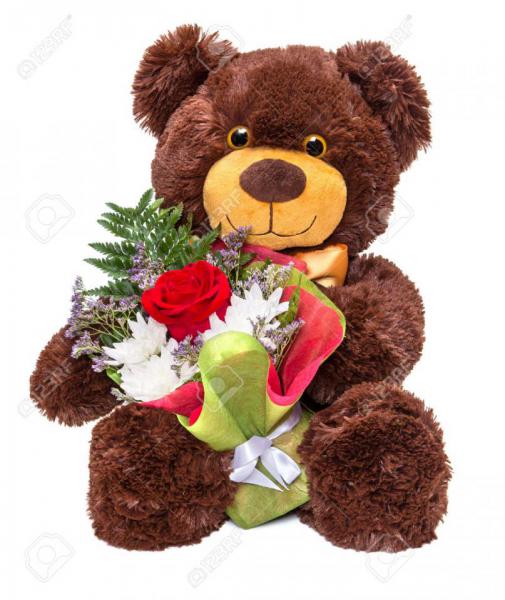 31402153-Smiling-teddy-bear-holding-beautiful-floral-bouquet-in-paws-On-white-background-Stock-Photo.jpg