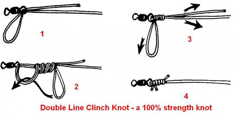 dbl-line-clinch-knot.jpg