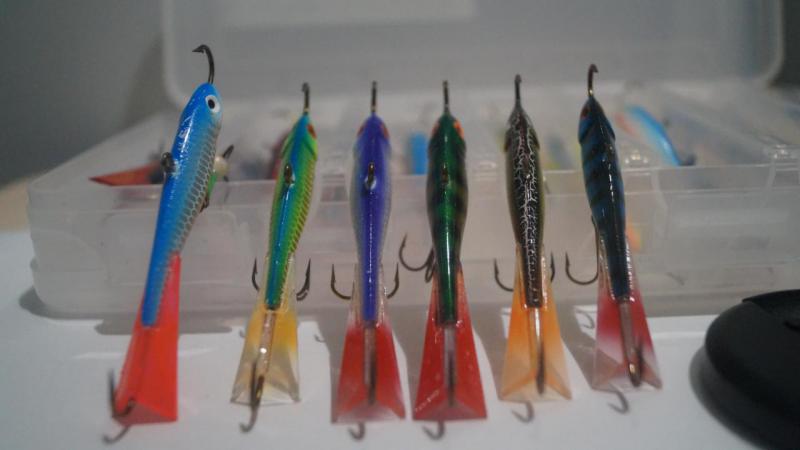 2015-11-14 12-23-16.JPG